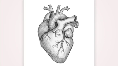 Heart Drawing