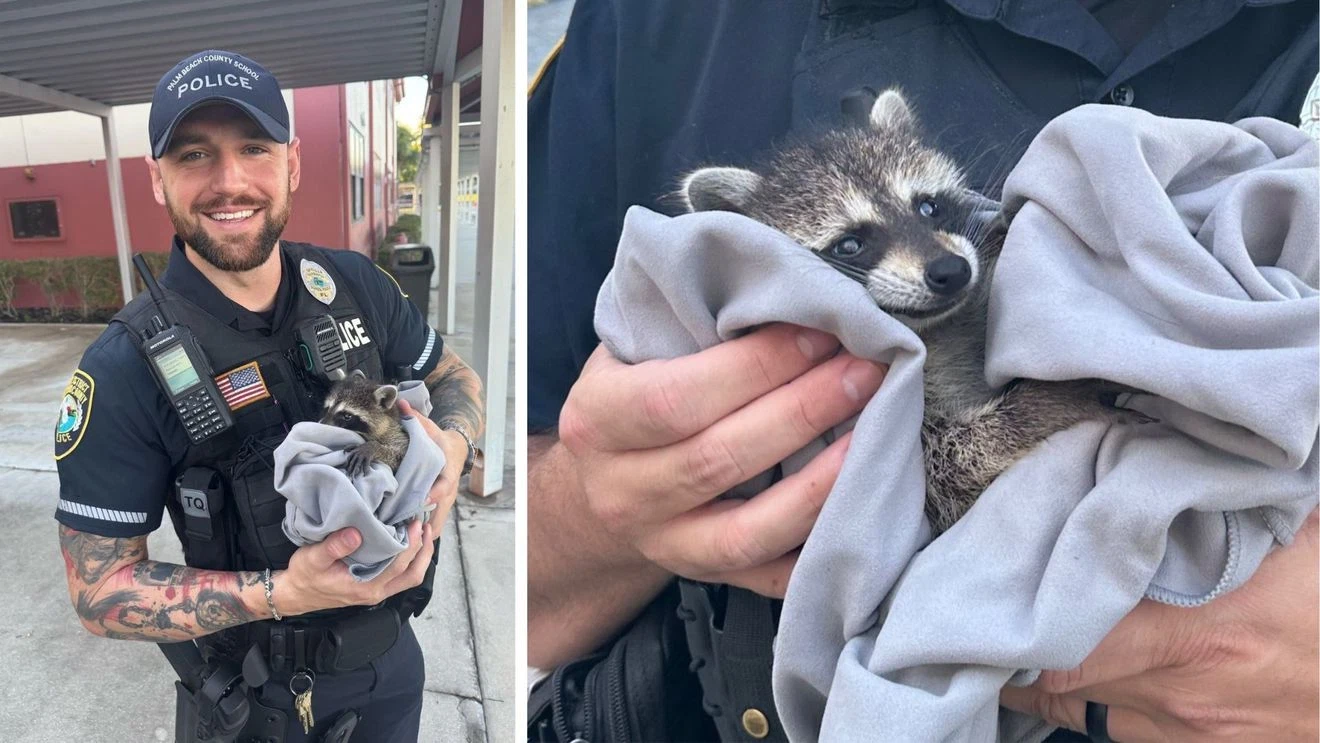 Stories That Capture Kindness Tragedy Wonder and What It Means to Be Human