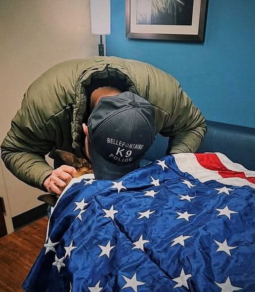 Stories That Show How Love Loyalty And Courage Appear When They Are Needed Most