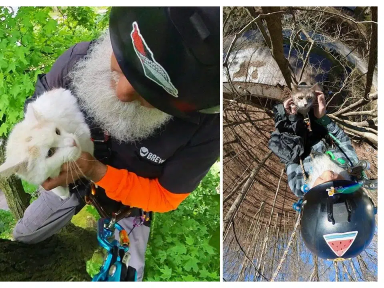 When Animals Are Failed by Systems and Saved by Courage