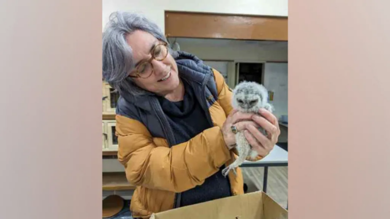 The Hidden Work Keeping Wildlife and Rescued Animals Safe