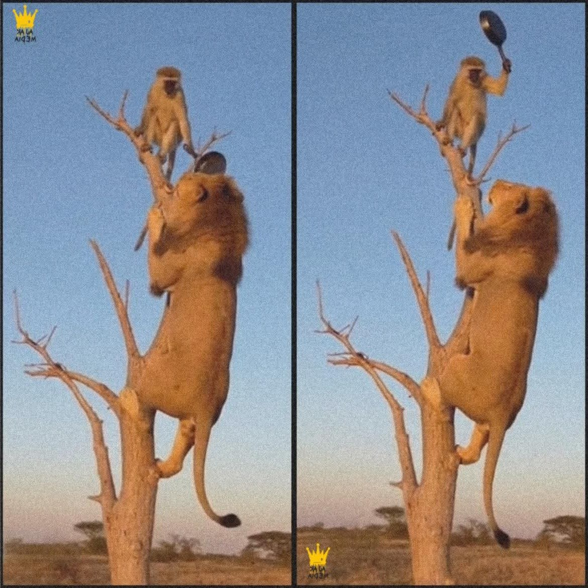 Stories Showing How Quickly Ordinary Moments Can Change Everything