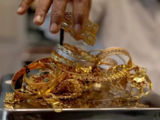 Stories of Human Choices, Courage, and Unexpected Turns of Life