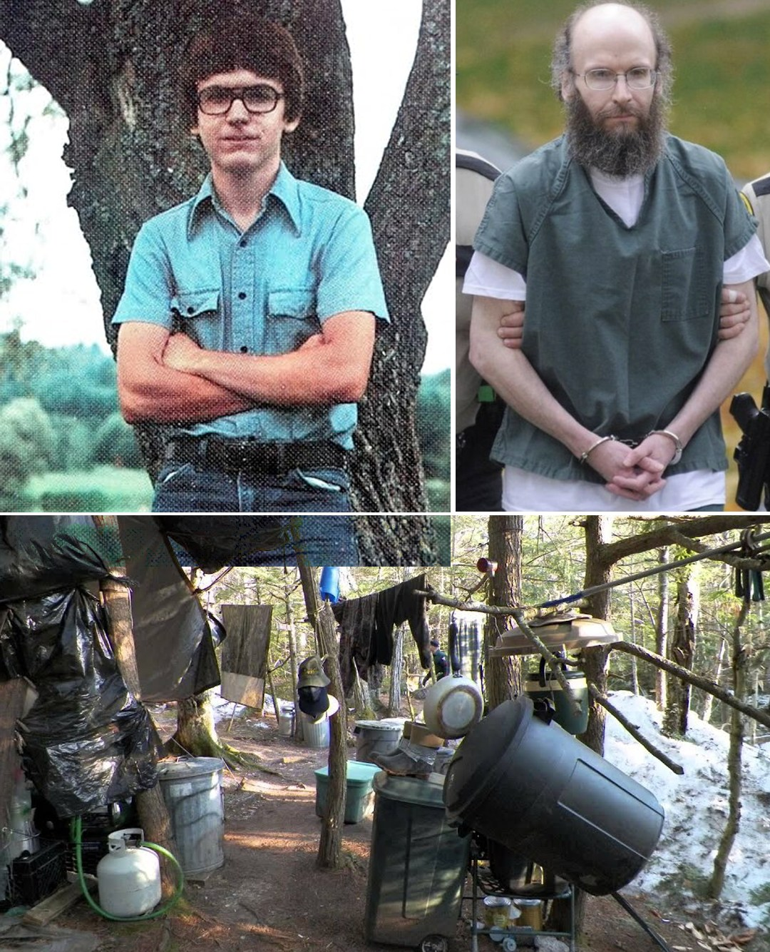 Stories That Examine Human Resilience Purpose And Transformation Across Time