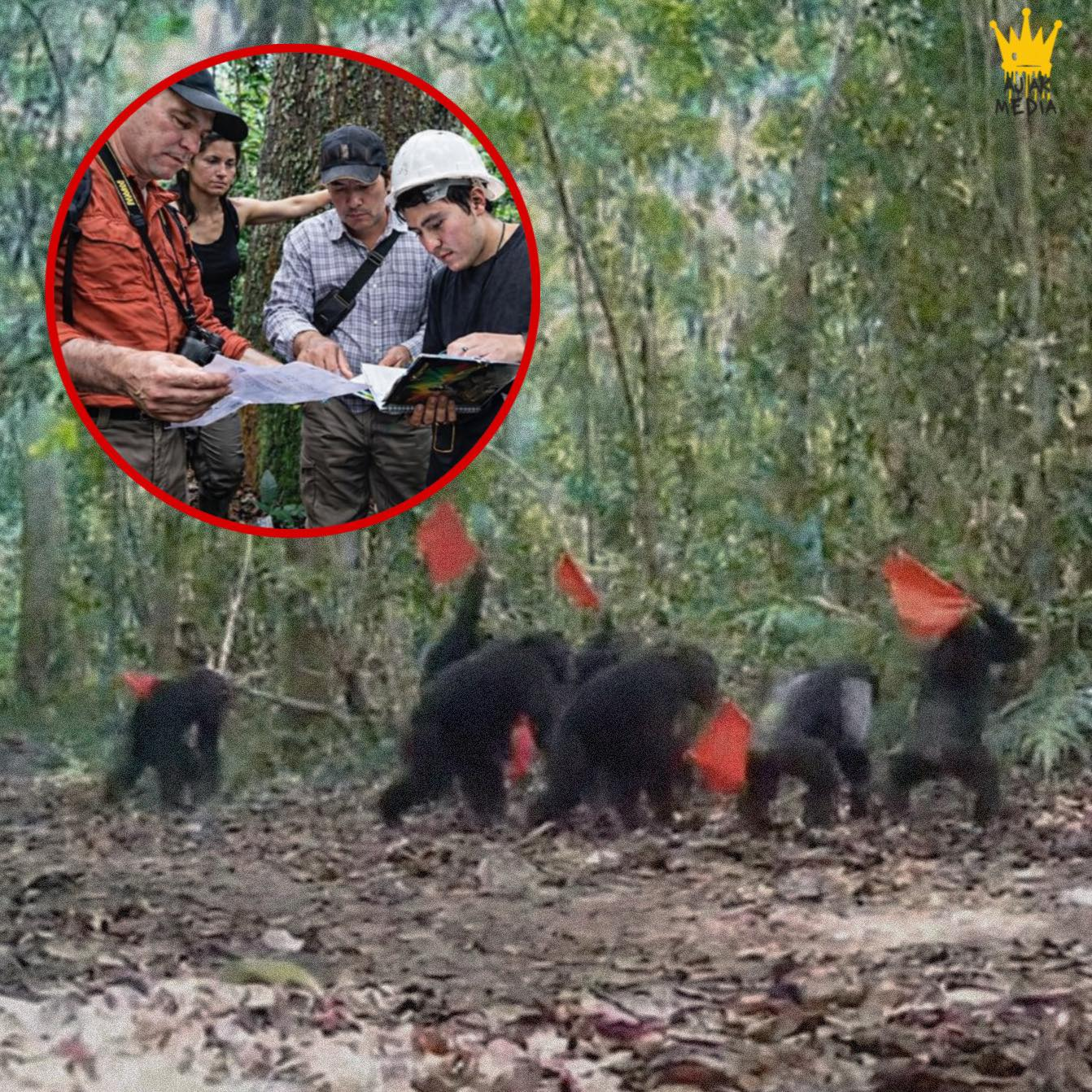 Stories Where Animals Chance and Curiosity Reveal How Small Moments Can Change Everything