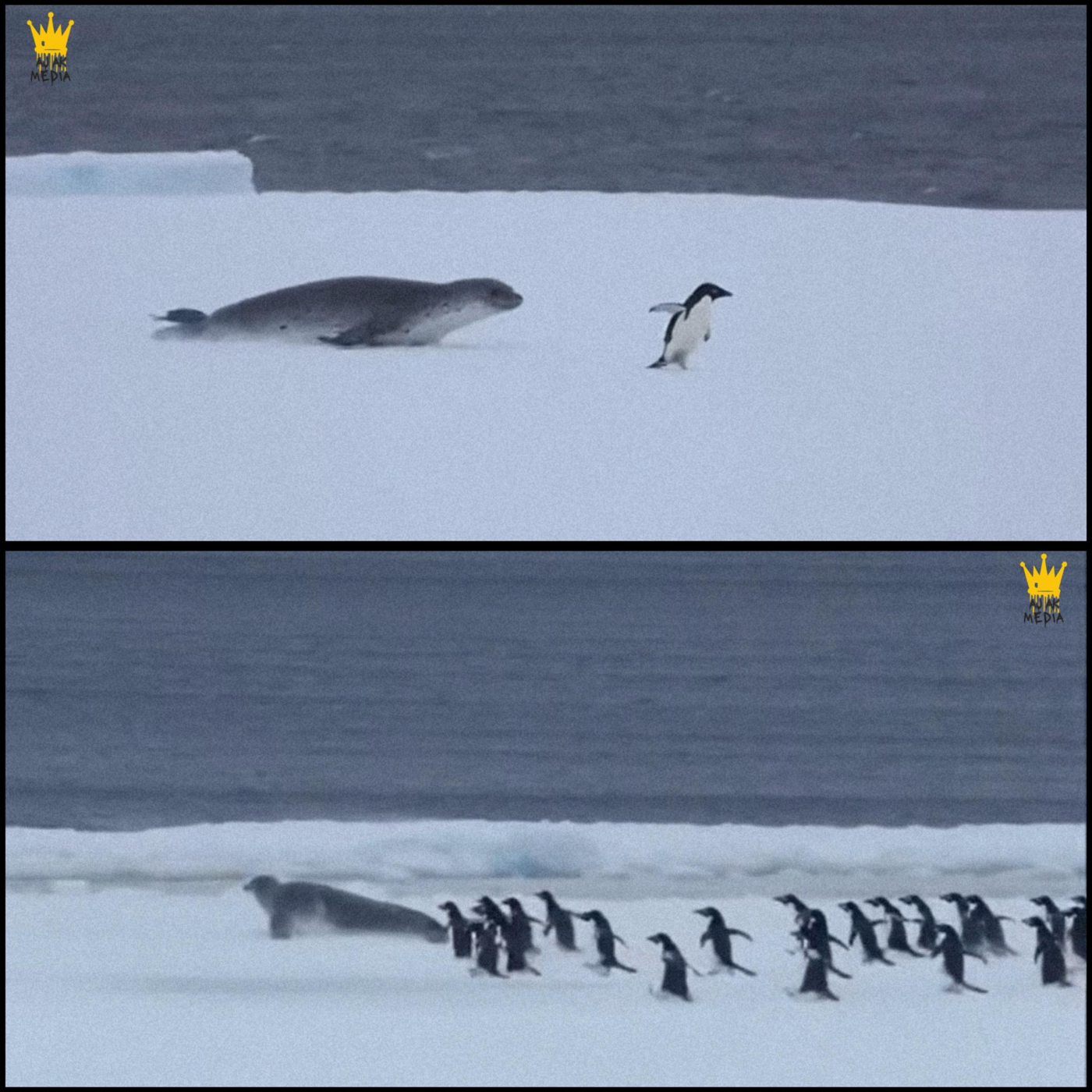 Moments When Nature Breaks Its Own Rules