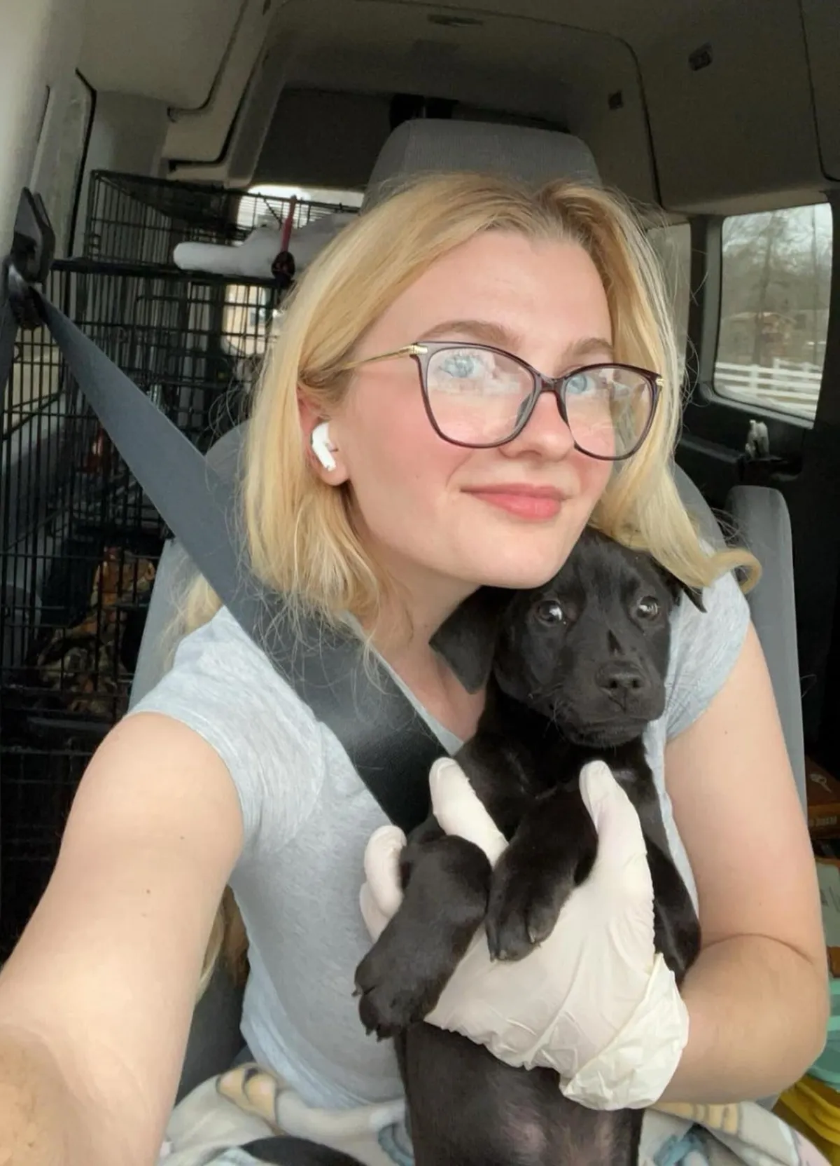 Woman Saves Over 1,400 Animals from Euthanasia