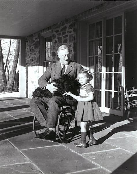 The Secret Struggle Of Fdr: How America’s First Disabled President Hid Paralysis From The World While Leading The Nation Through Crisis And Global Turmoil