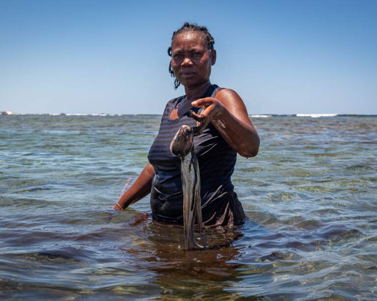 A tonne of seaweed per month, and octopus speared by hand. This is survival.
