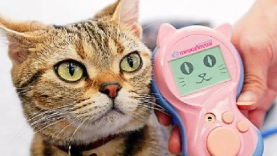 In 2003, you could buy a device that translated your cat’s meows.