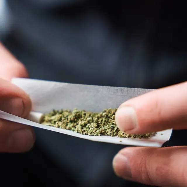 Study maps body and brain changes during first 24 hours after cannabis use.