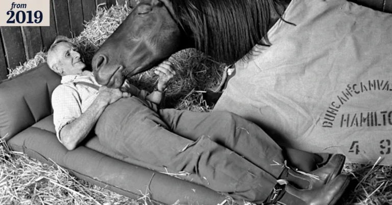 The night before the 1977 Melbourne Cup, a photographer caught a moment no one could ever stage just trust, silence, and love.