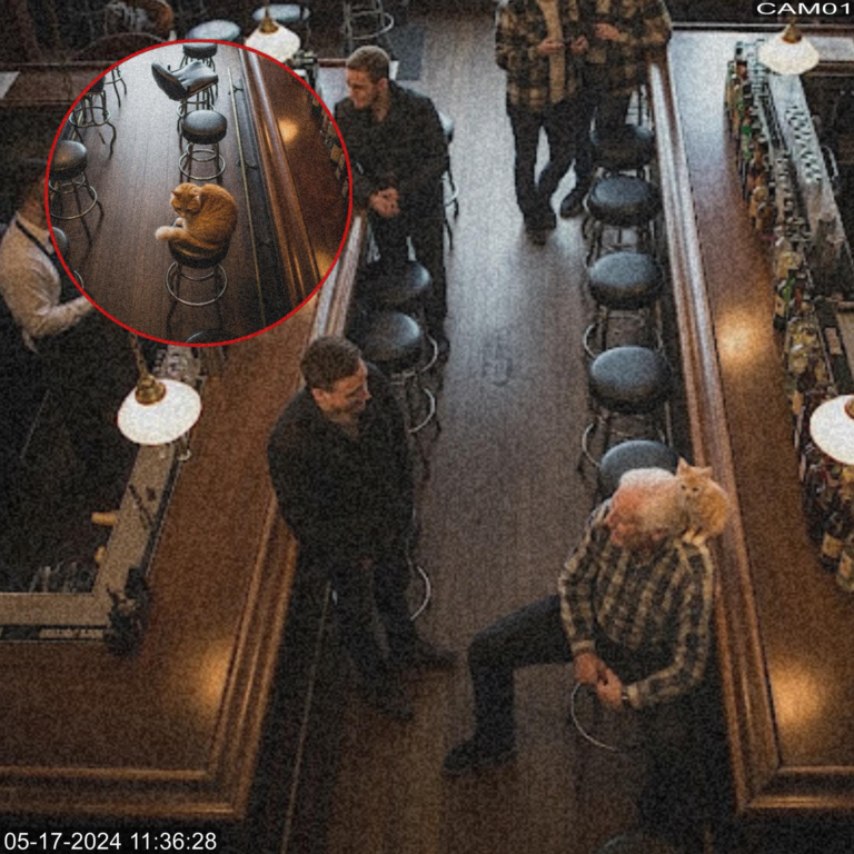 Small Lives Quiet Heroes and the Unspoken Moments That Prove Compassion Still Shapes the World