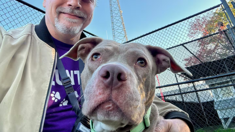 Eight Stories of Loyalty Service and Quiet Kindness That Show How Humans and Animals Protect and Heal One Another