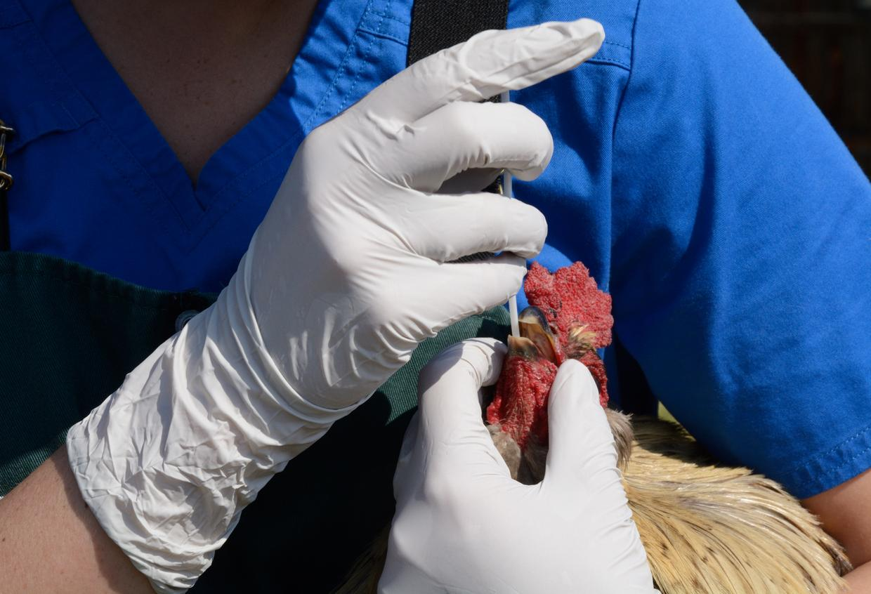 From deadly viruses to charging EVs in minutes and water beneath Mars, science is reshaping how we survive and explore