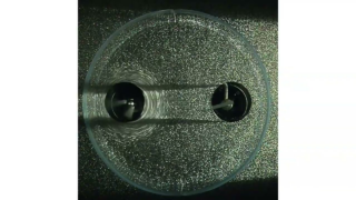 How the World Keeps Revealing Who We Really Are