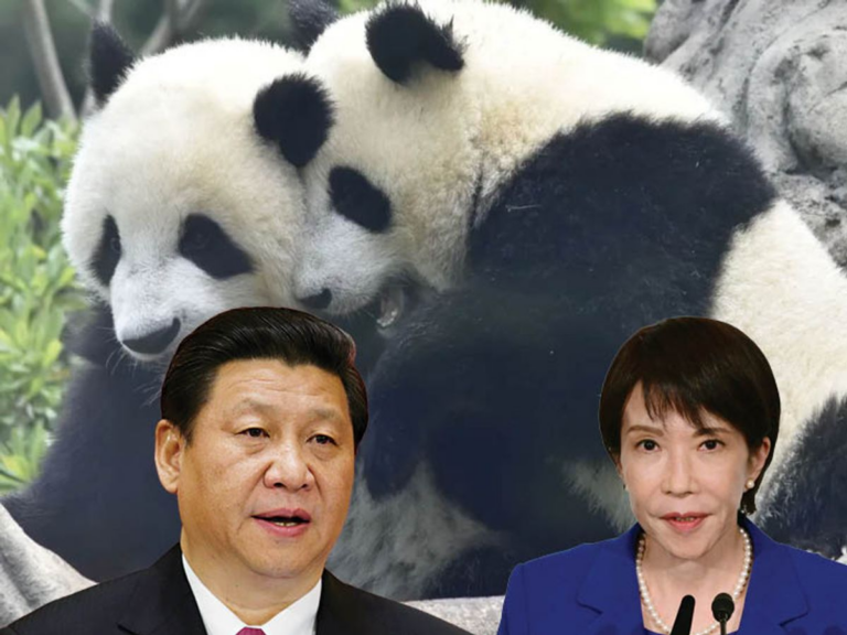 The Quiet Bonds Between Humans Animals and the World We Share